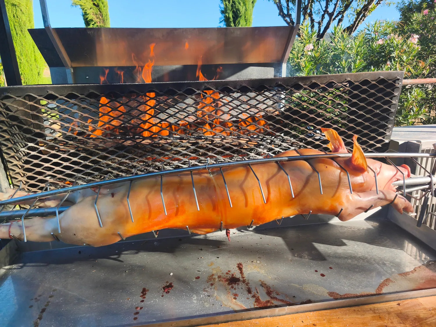 Cochon entier à la broche devant les flammes.
