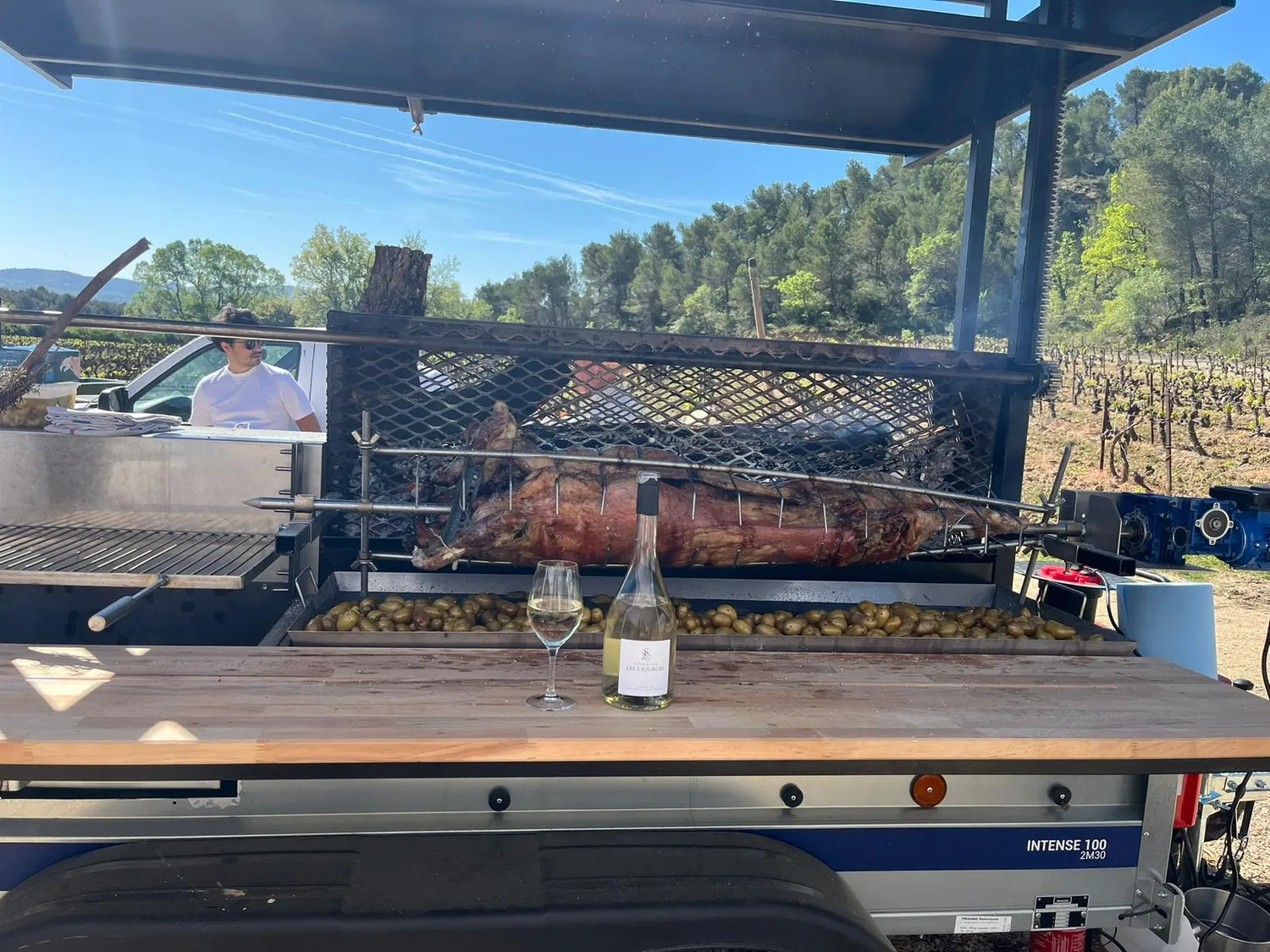 Viande rôtie, pommes de terre et vin devant les vignes.